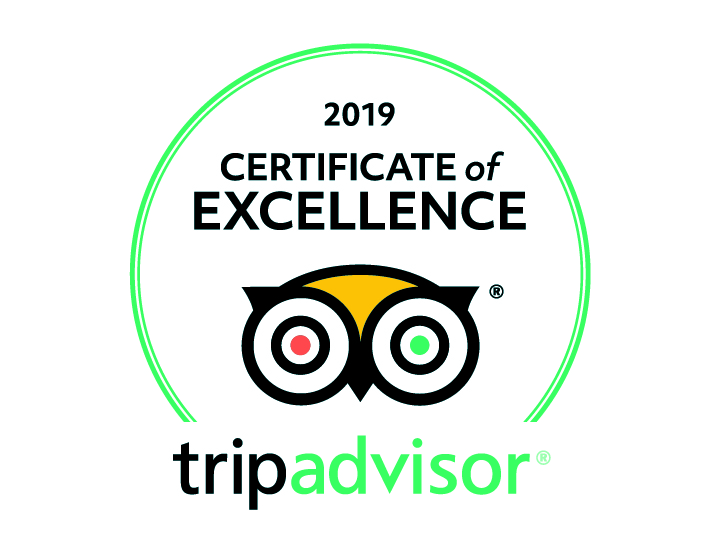 2019_trip-advisor